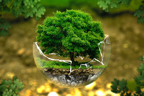 遼寧第三方檢測(cè)機(jī)構(gòu)提示找第三方檢測(cè)機(jī)構(gòu)委托時(shí)需要查看資質(zhì)？