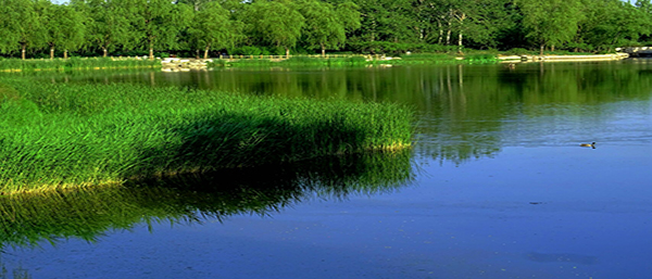 科技創(chuàng)新，保護(hù)環(huán)境——沈陽環(huán)境檢測，守護(hù)健康與生態(tài)平衡